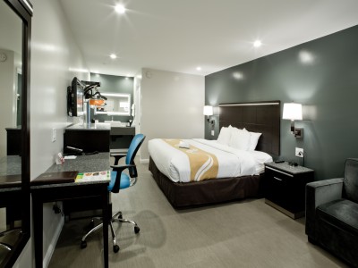 Premium Guest Rooms in Hayward